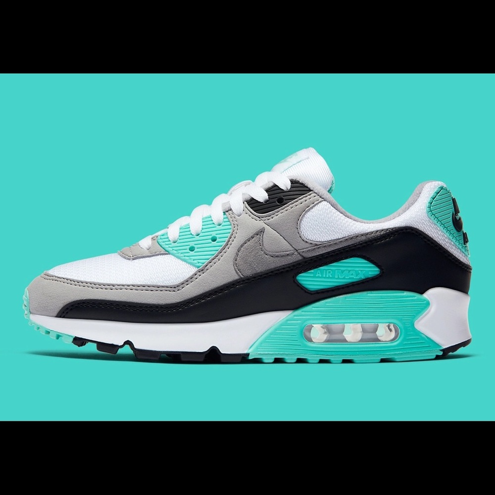 Nike Air Max 90 (worn twice)
